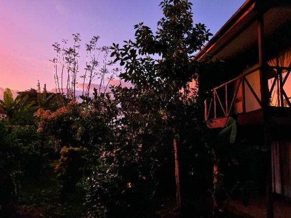 Marari Rapa Nui Hotel Hanga Roa Exterior foto