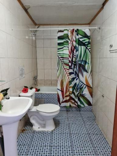 Marari Rapa Nui Hotel Hanga Roa Exterior foto